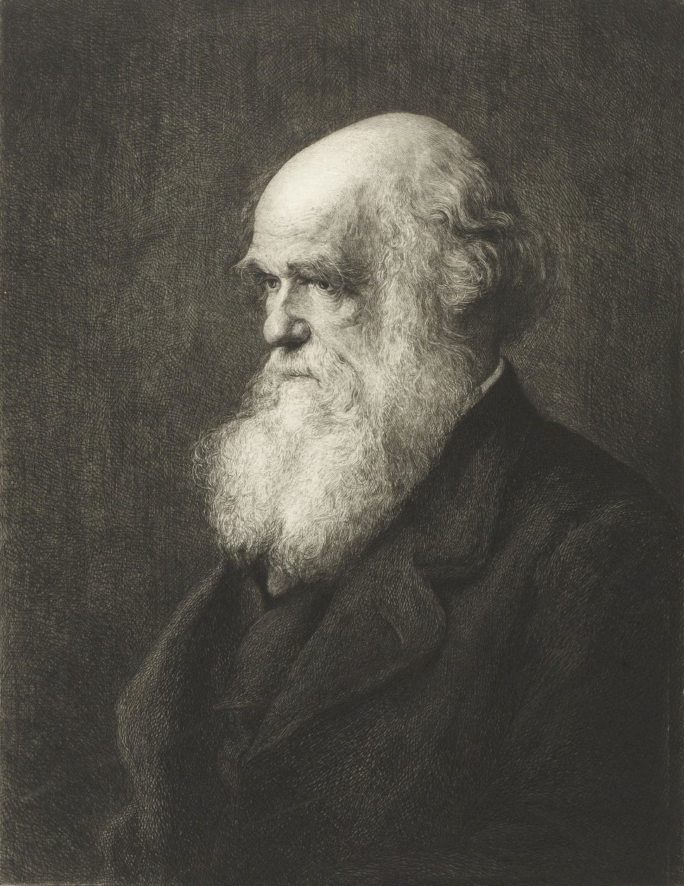 Charles Robert Darwin by Walter William (after) Ouless