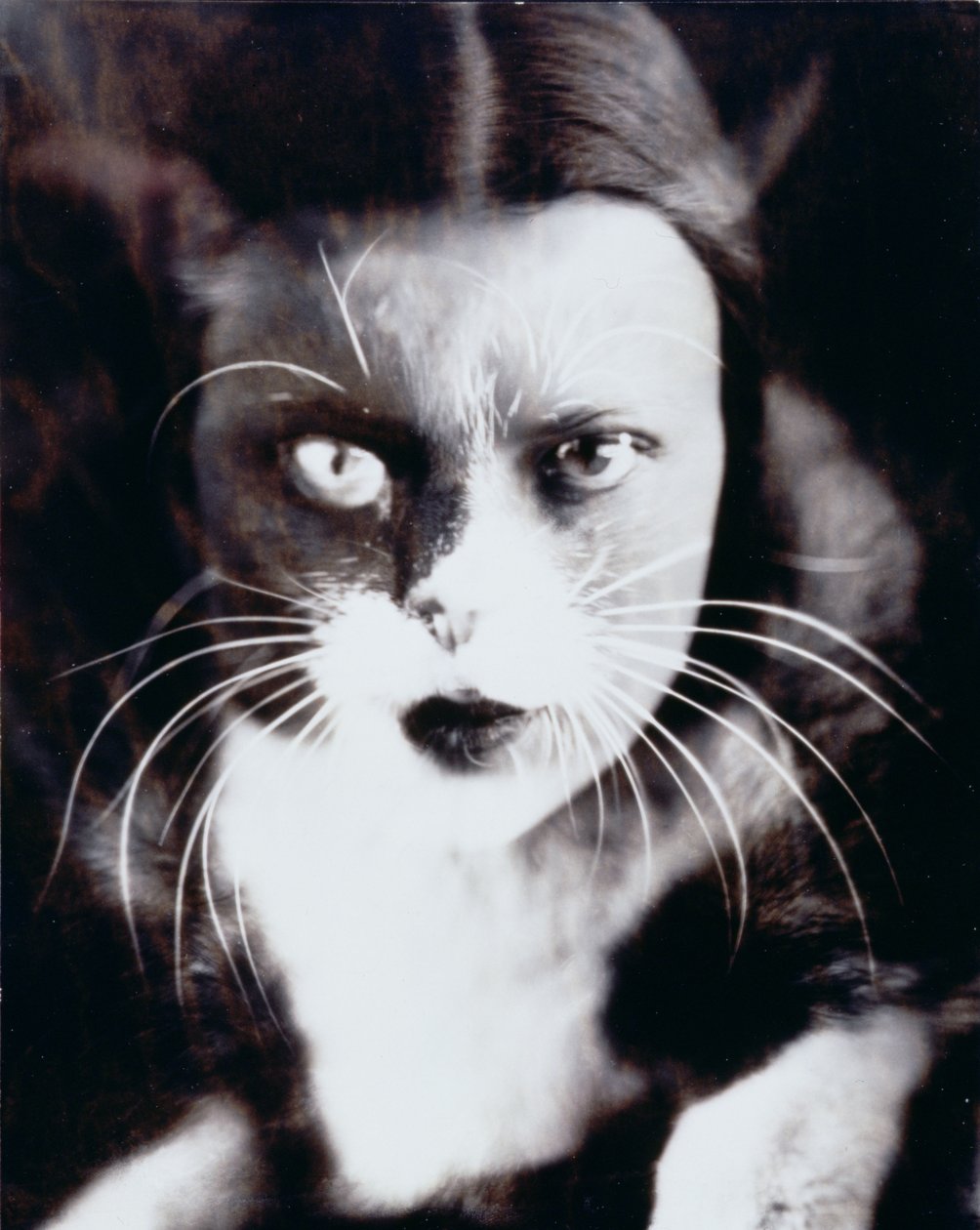 Cat and I by Wanda Wulz