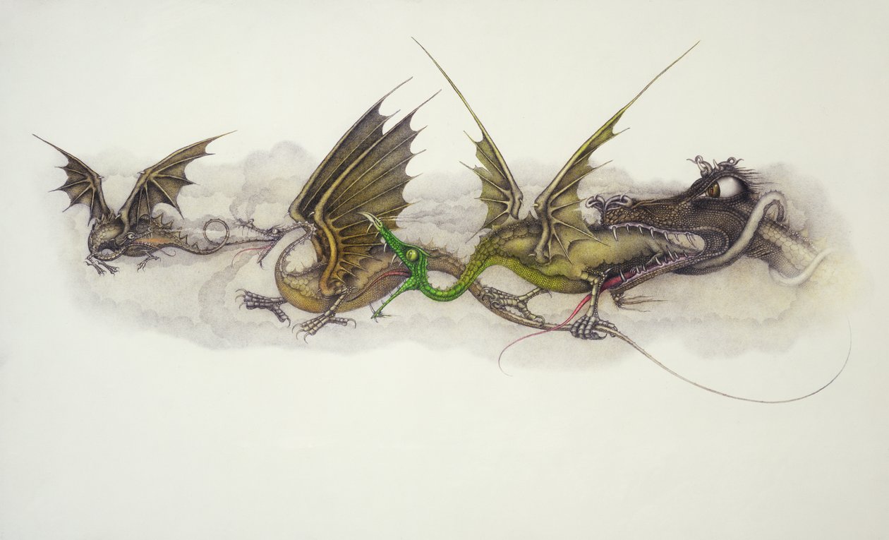 Big Dragons Eat Little Dragons by Wayne Anderson