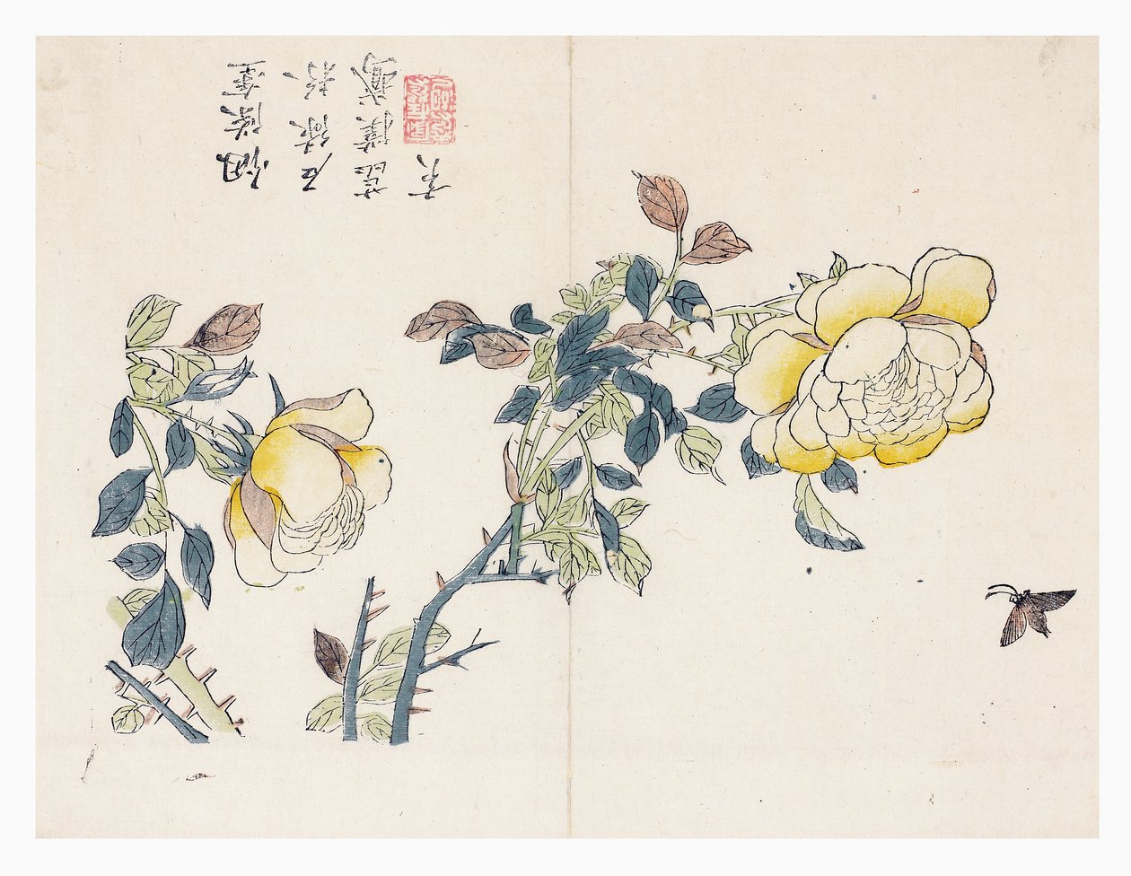 Mustard Seed Garden by Wen shu Chao