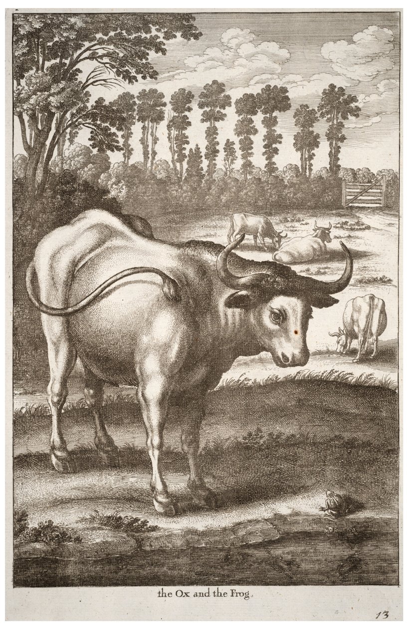 Ox and Frog by Wenceslaus Hollar