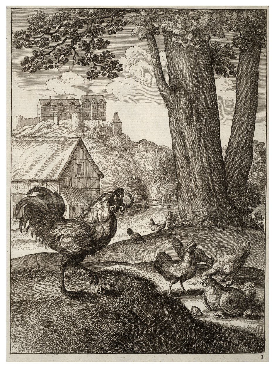 The Cock and the Jewel by Wenceslaus Hollar