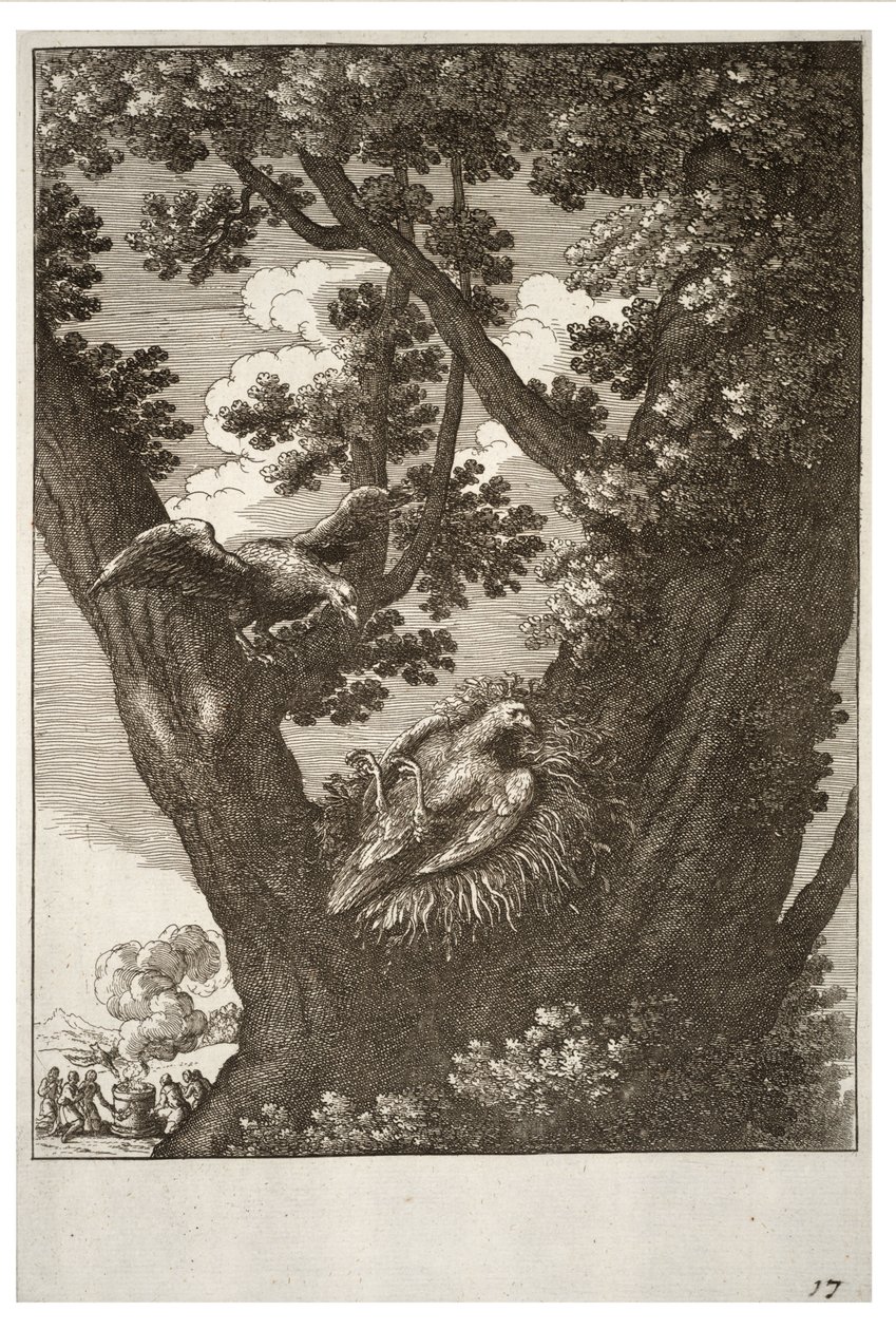 The Sick Kite and Its Mother by Wenceslaus Hollar