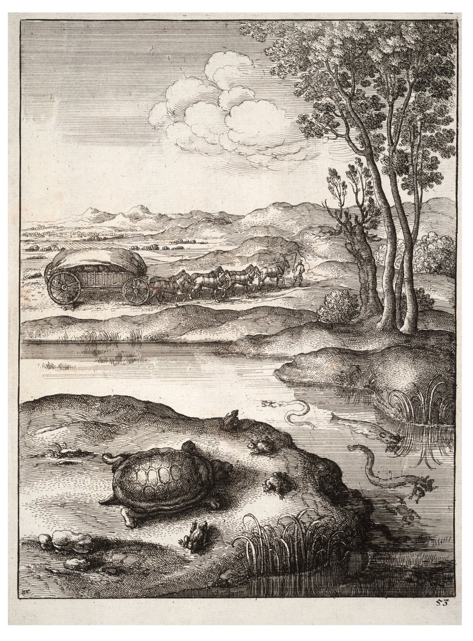 The Tortoise and the Frogs by Wenceslaus Hollar