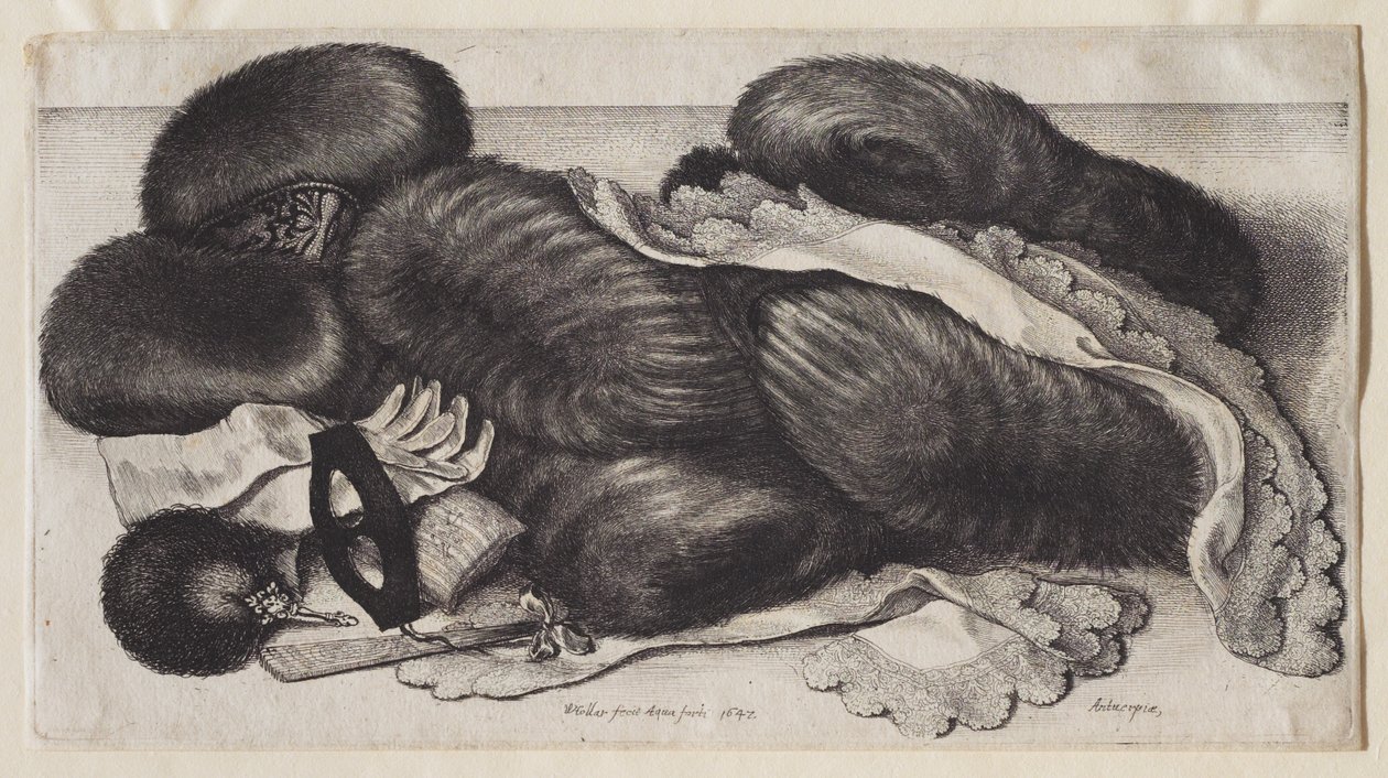 A Group of Muffs by Wenceslaus Hollar