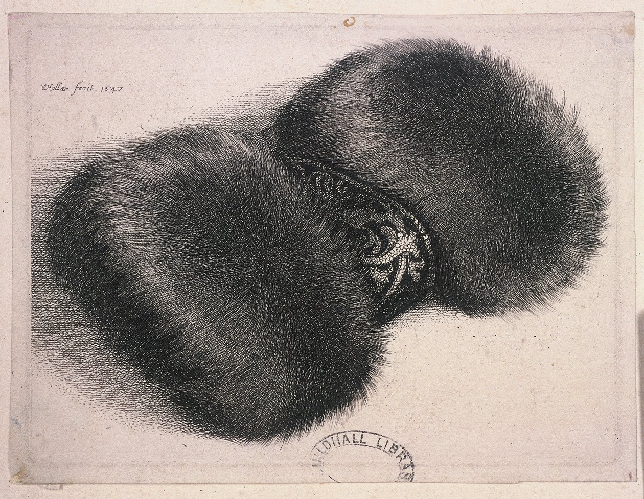 A Large Muff with a Band of Brocade by Wenceslaus Hollar