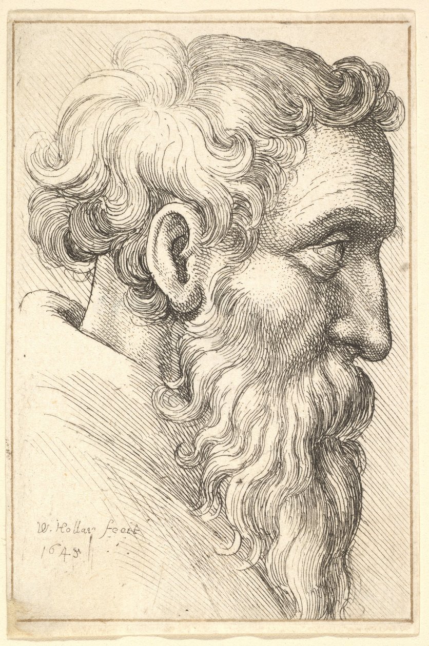 Bearded Old Man in Profile to Right by Wenceslaus Hollar