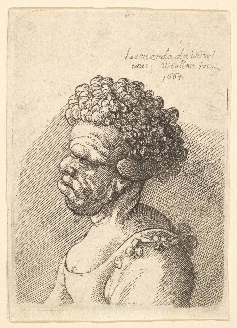 Bust of a Deformed Woman with Curly Hair in Profile to the Left by Wenceslaus Hollar