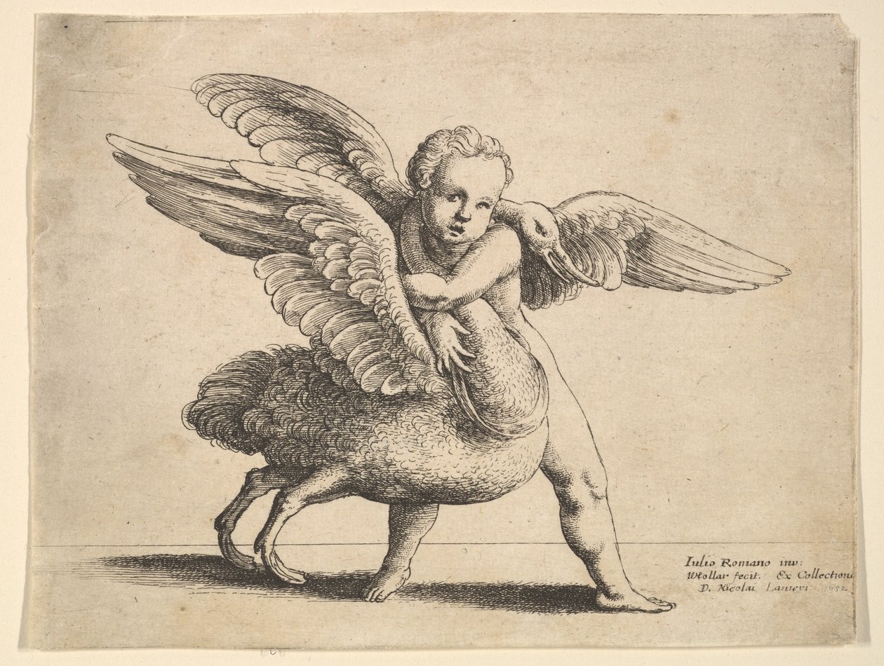 Cupid and the Swan, 1652 by Wenceslaus Hollar