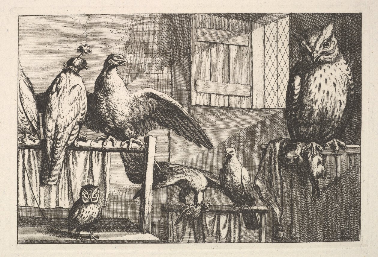 Hawks and owls, 1625-77 by Wenceslaus Hollar