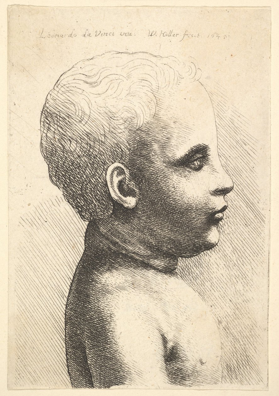Head and shoulder of a child, in profile to right, 1645 by Wenceslaus Hollar