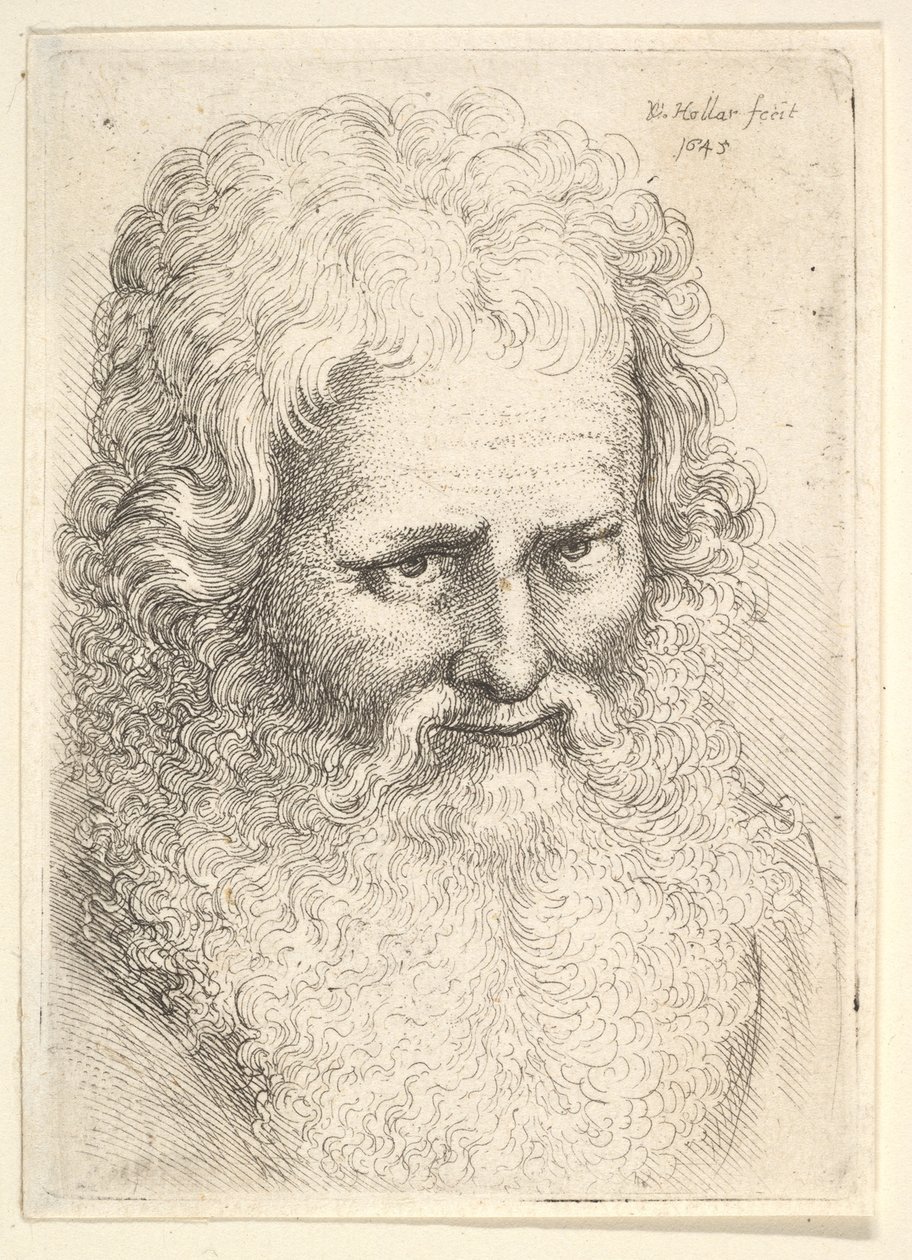 Head of an old man with a large beard by Wenceslaus Hollar