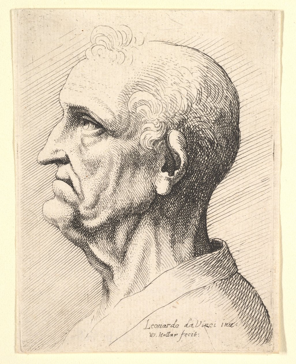 Head of an Old Man with Tufts of Curly Hair Around Ear in Profile to Left, 1644-52 by Wenceslaus Hollar
