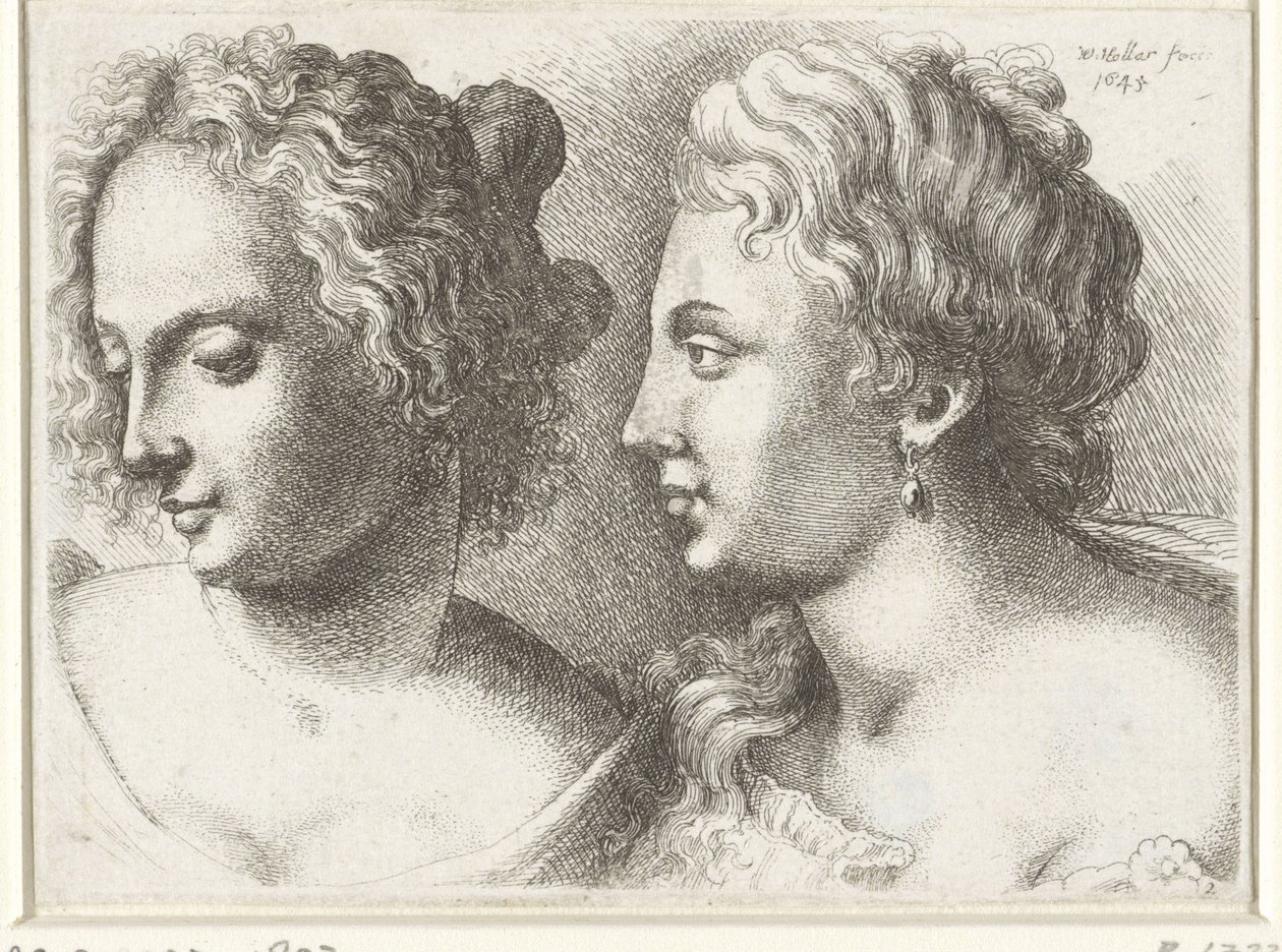 Heads of Two Young Women by Wenceslaus Hollar