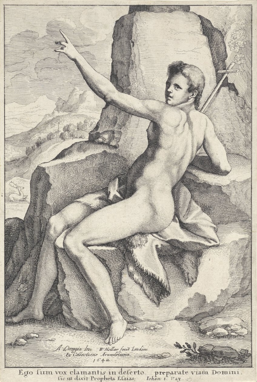 John the Baptist in the Wilderness by Wenceslaus Hollar