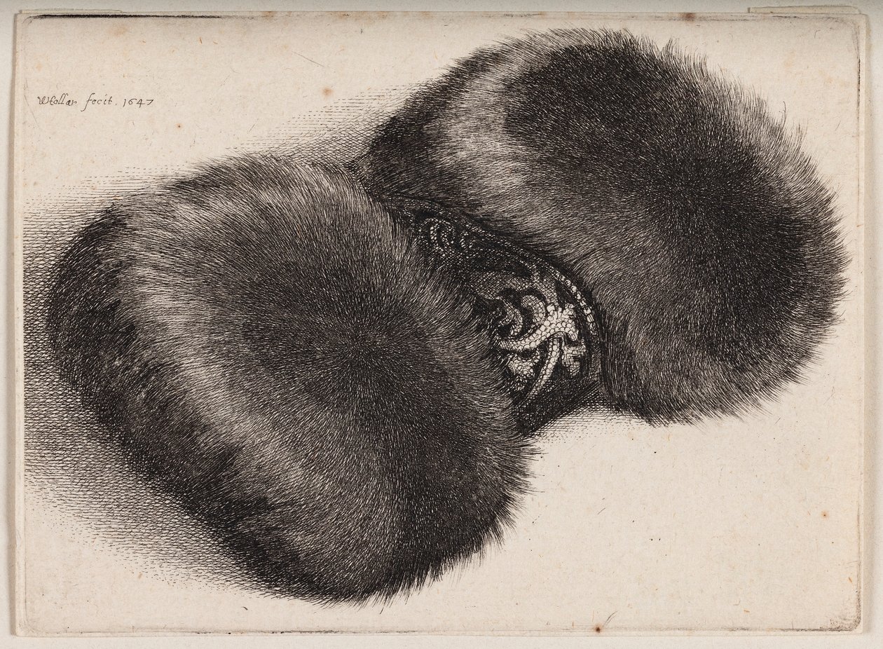 Fur Muff with a Brocade Ribbon by Wenceslaus Hollar