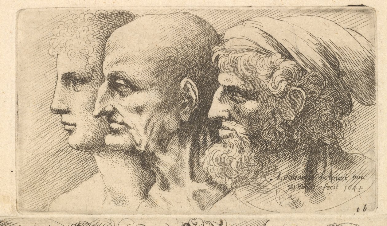 Row of Three Heads in Profile to Left by Wenceslaus Hollar