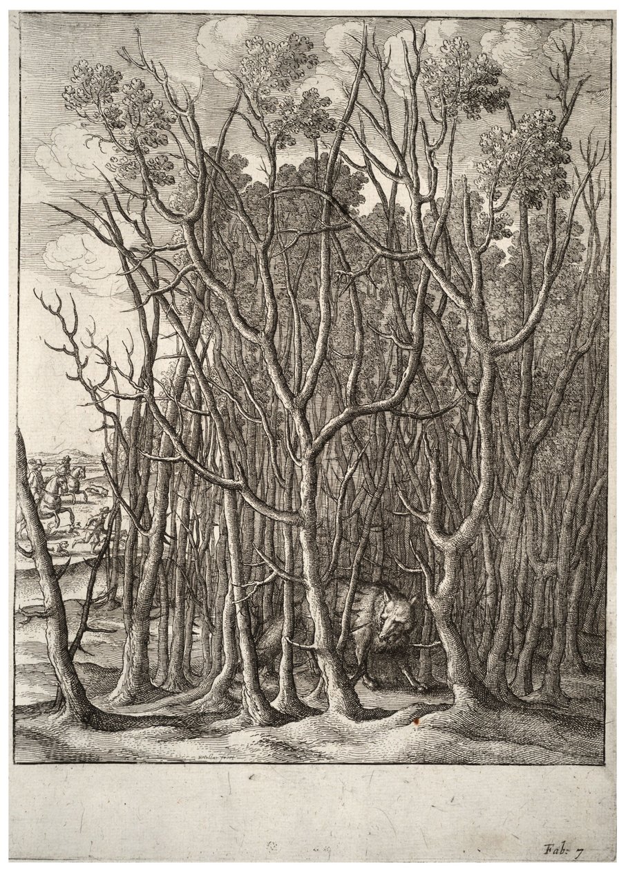 The fox and the thorn bush (State 2) by Wenceslaus Hollar