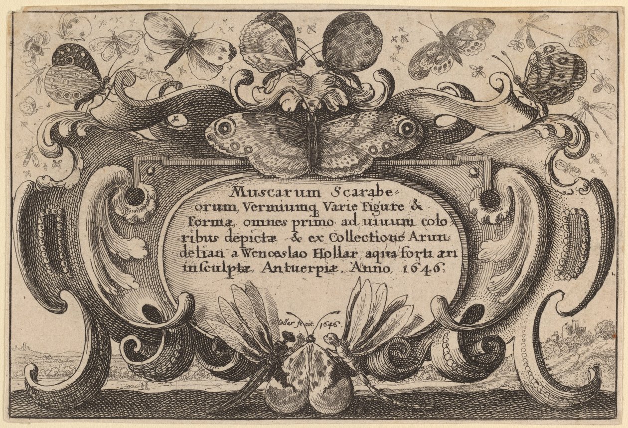Title Page by Wenceslaus Hollar
