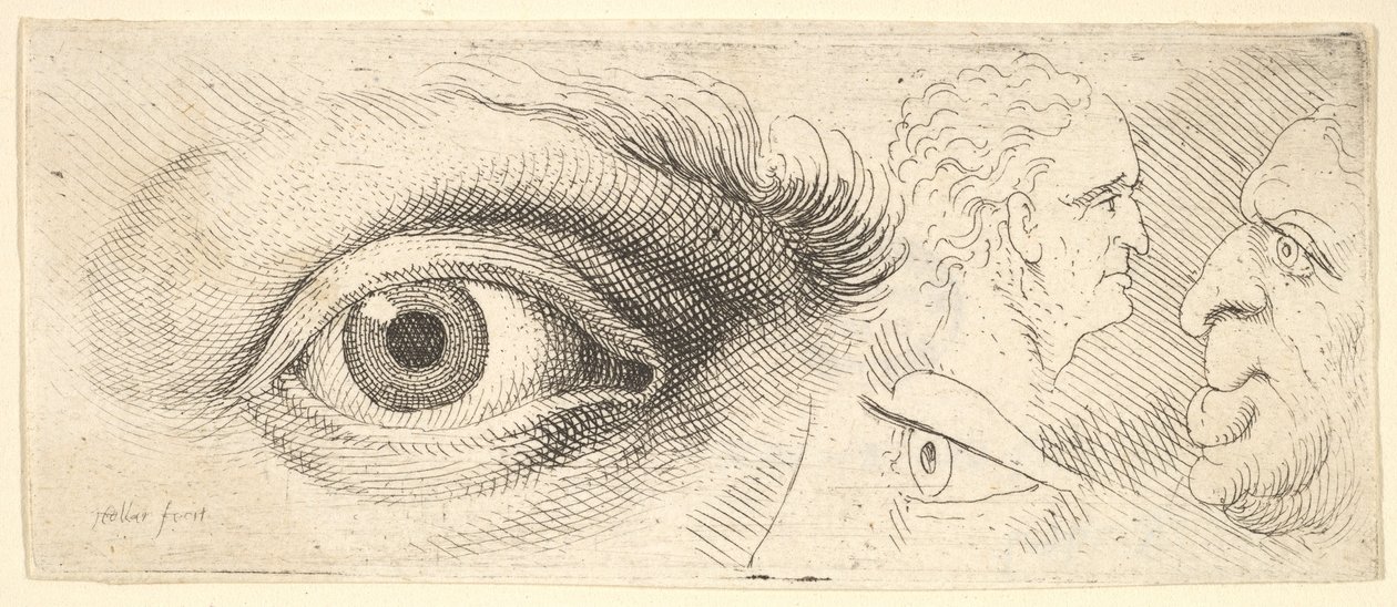 Two Eyes and Two Heads by Wenceslaus Hollar