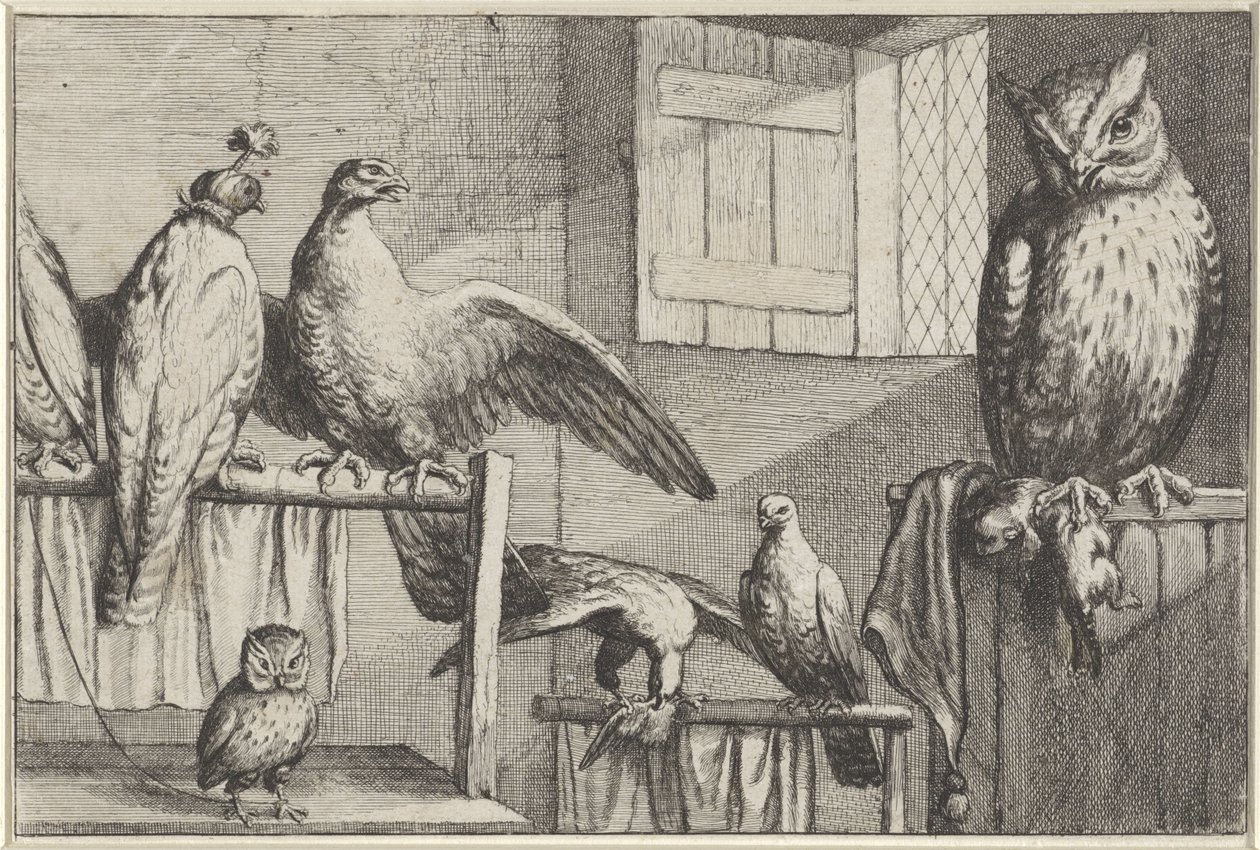 Falcons and owls in a barn (Various Birds series) by Wenceslaus Hollar