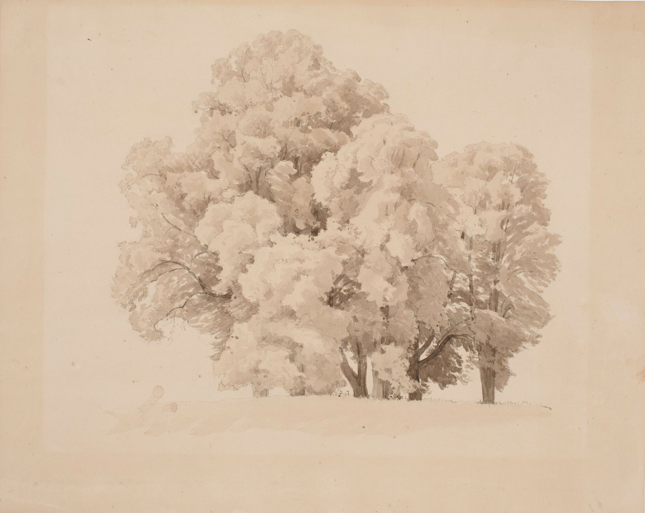 Group of Deciduous Trees by Werner Holmberg