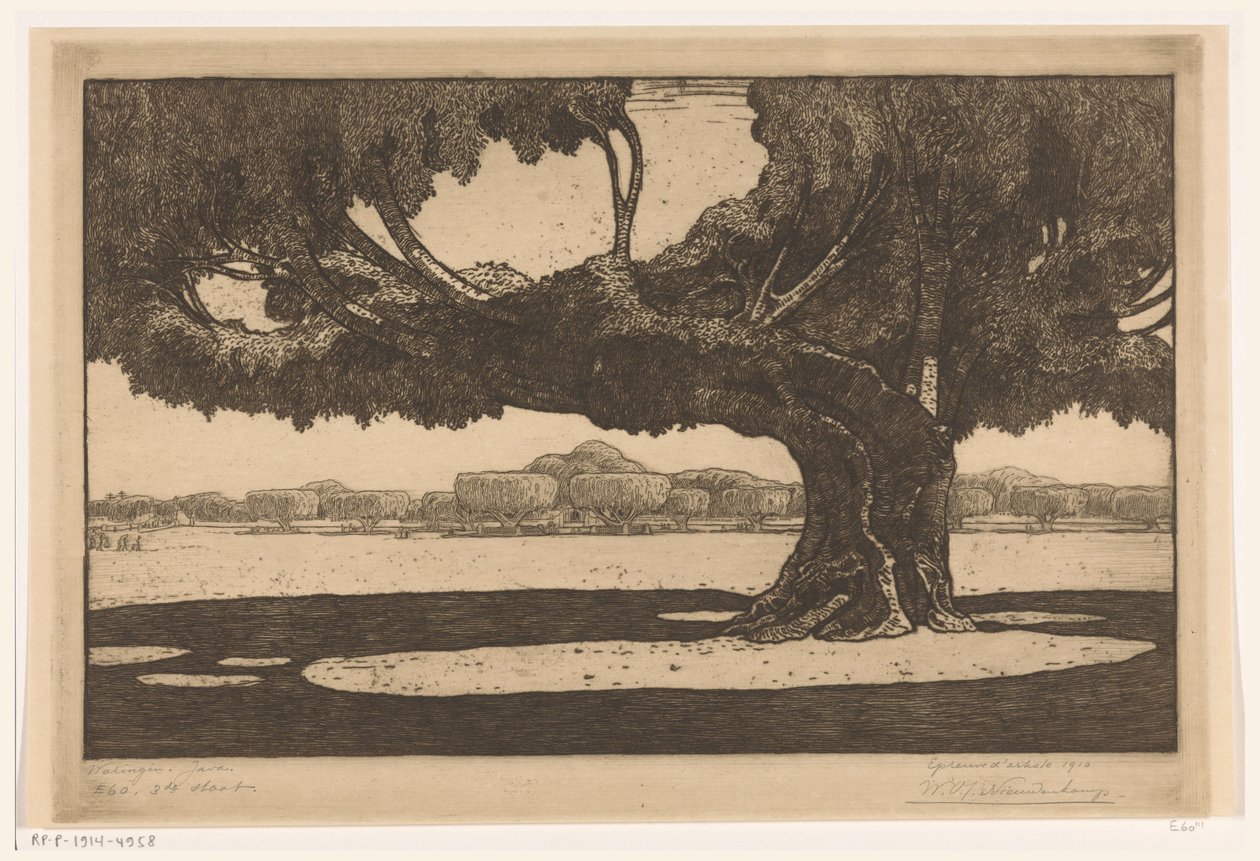 Waringin Trees in the Garden of the Sultan
