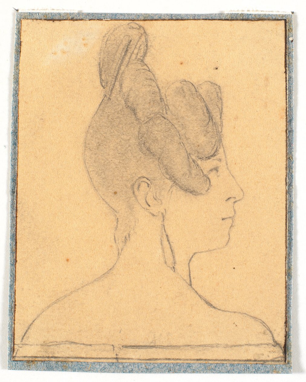 Lady