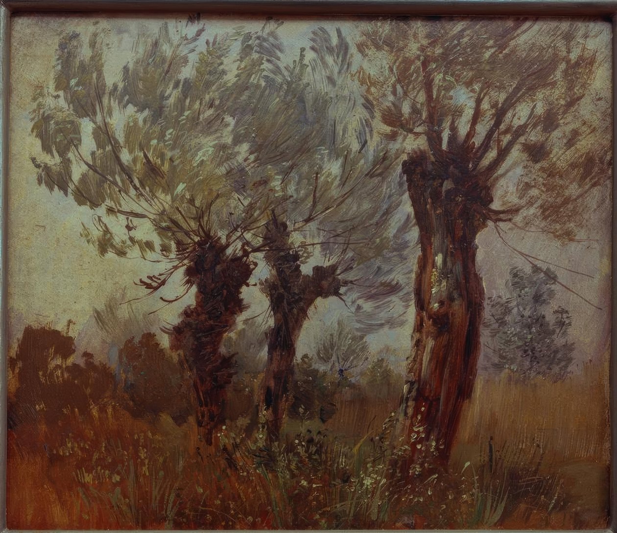 Three Old Willows by Wilhelm Busch
