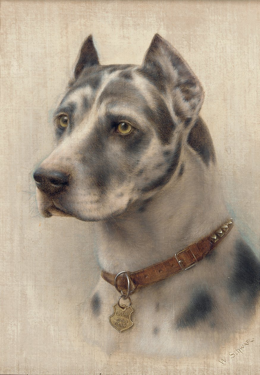 The Head of a Doberman by Wilhelm Schwar