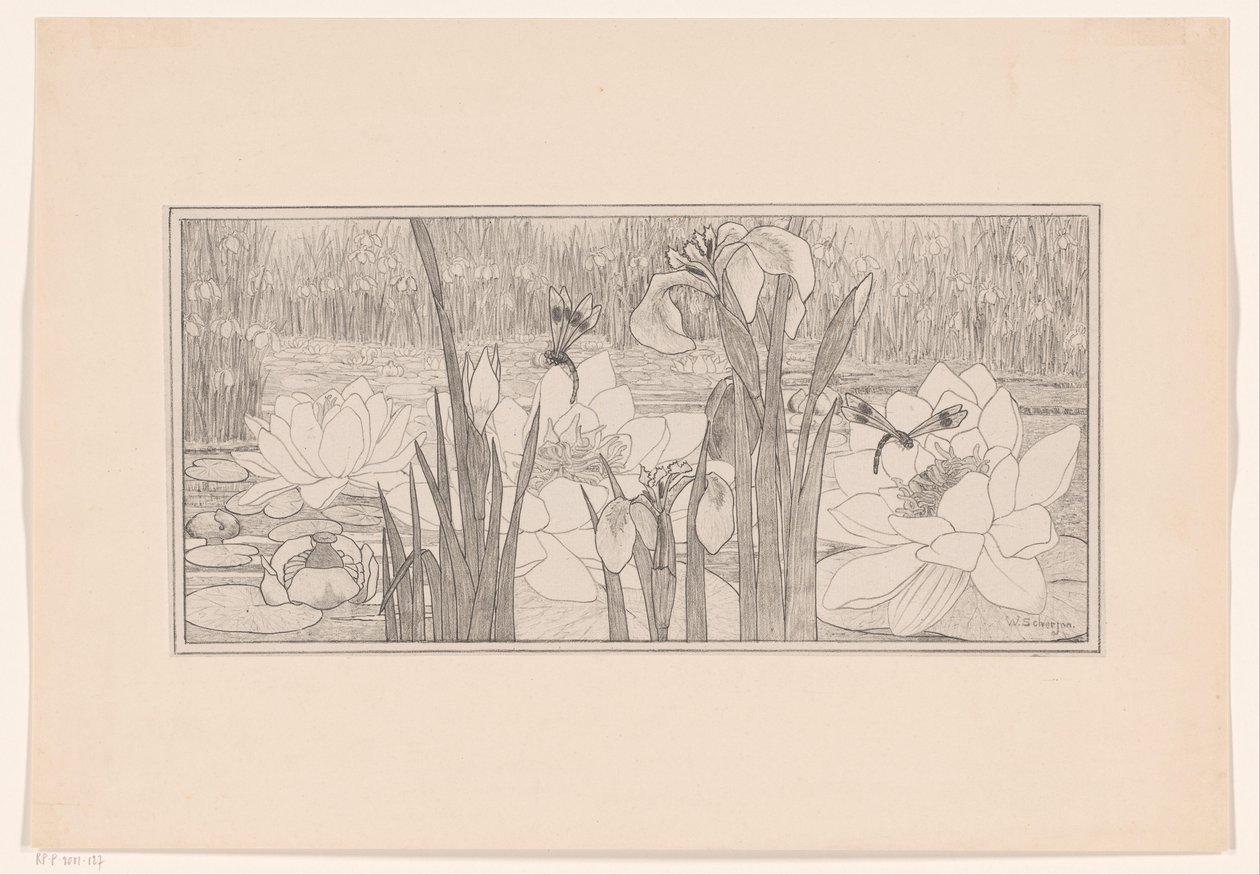 Water Lilies by Willem C. Scherjon