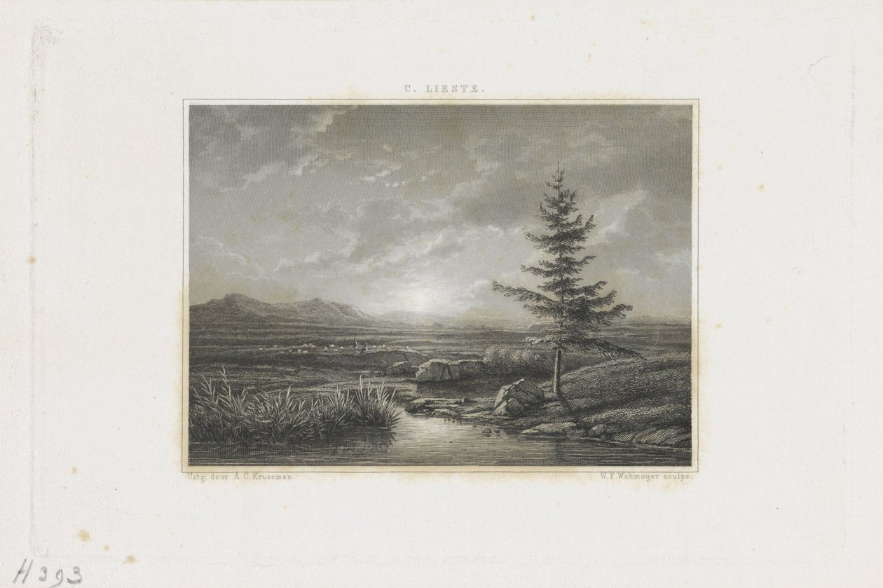 Landscape with a Stream by Willem Frederik Wehmeyer