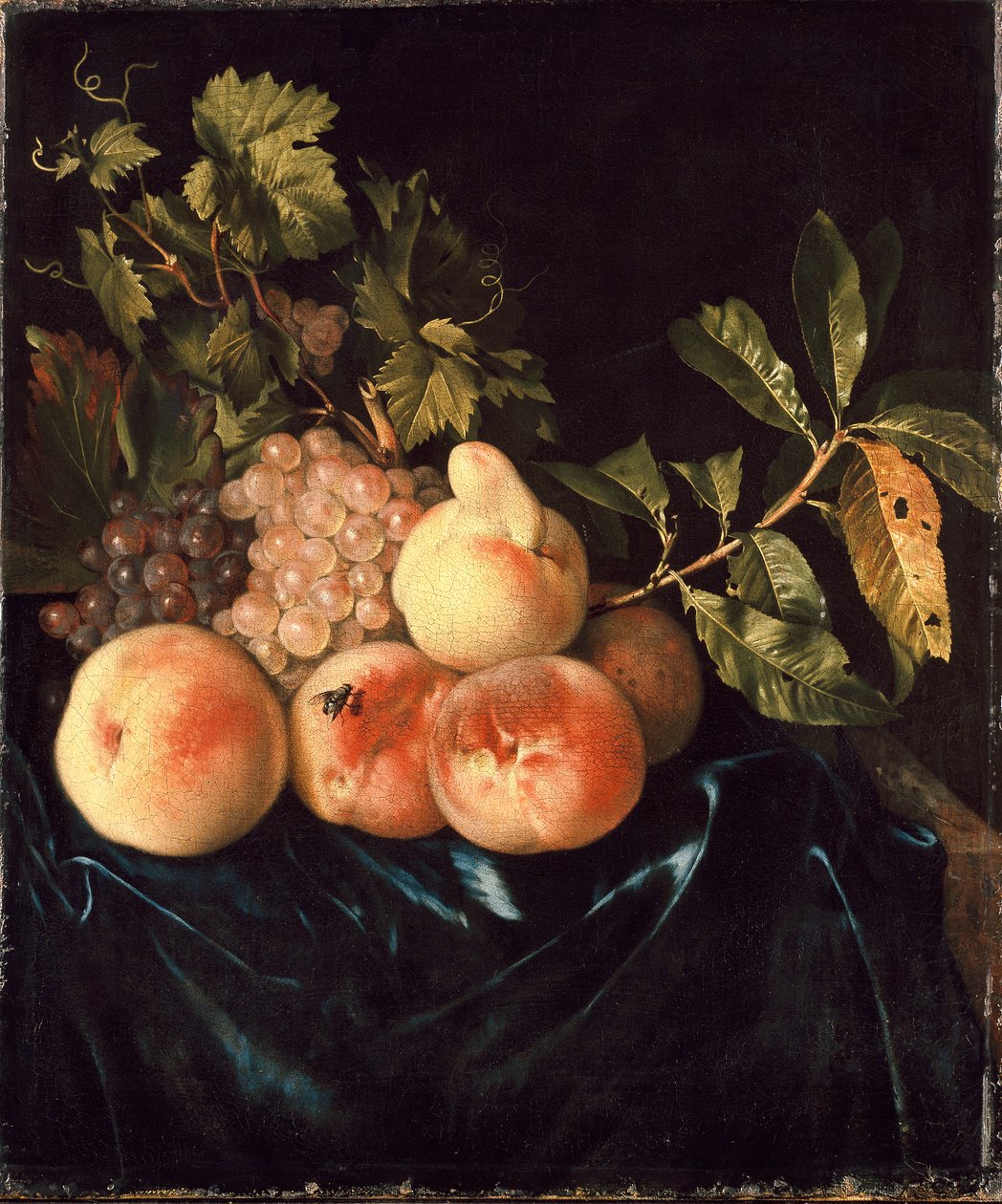 Still Life of Peaches and Grapes, 1705 by Willem Frederiksz van Royen
