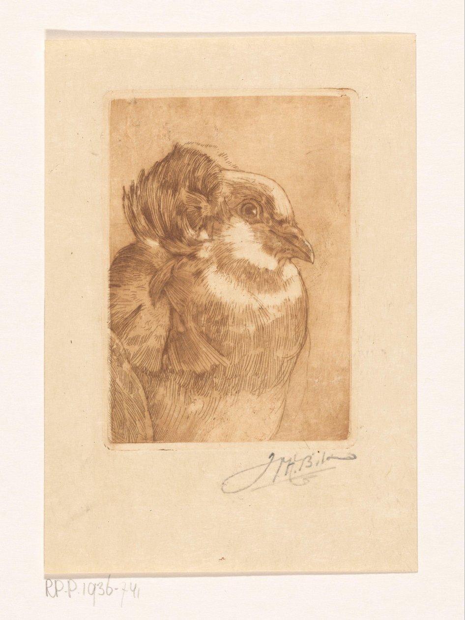 Study of a Dove by Willem Hendrik Bik (signed by artist)