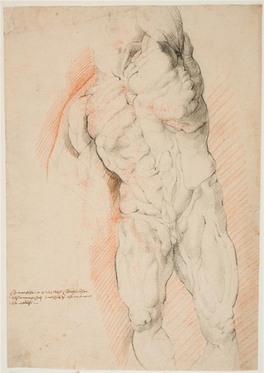 Anatomical Study (écorché). Front View of Standing Flayed Man, His Left Arm Raised by Willem Panneels