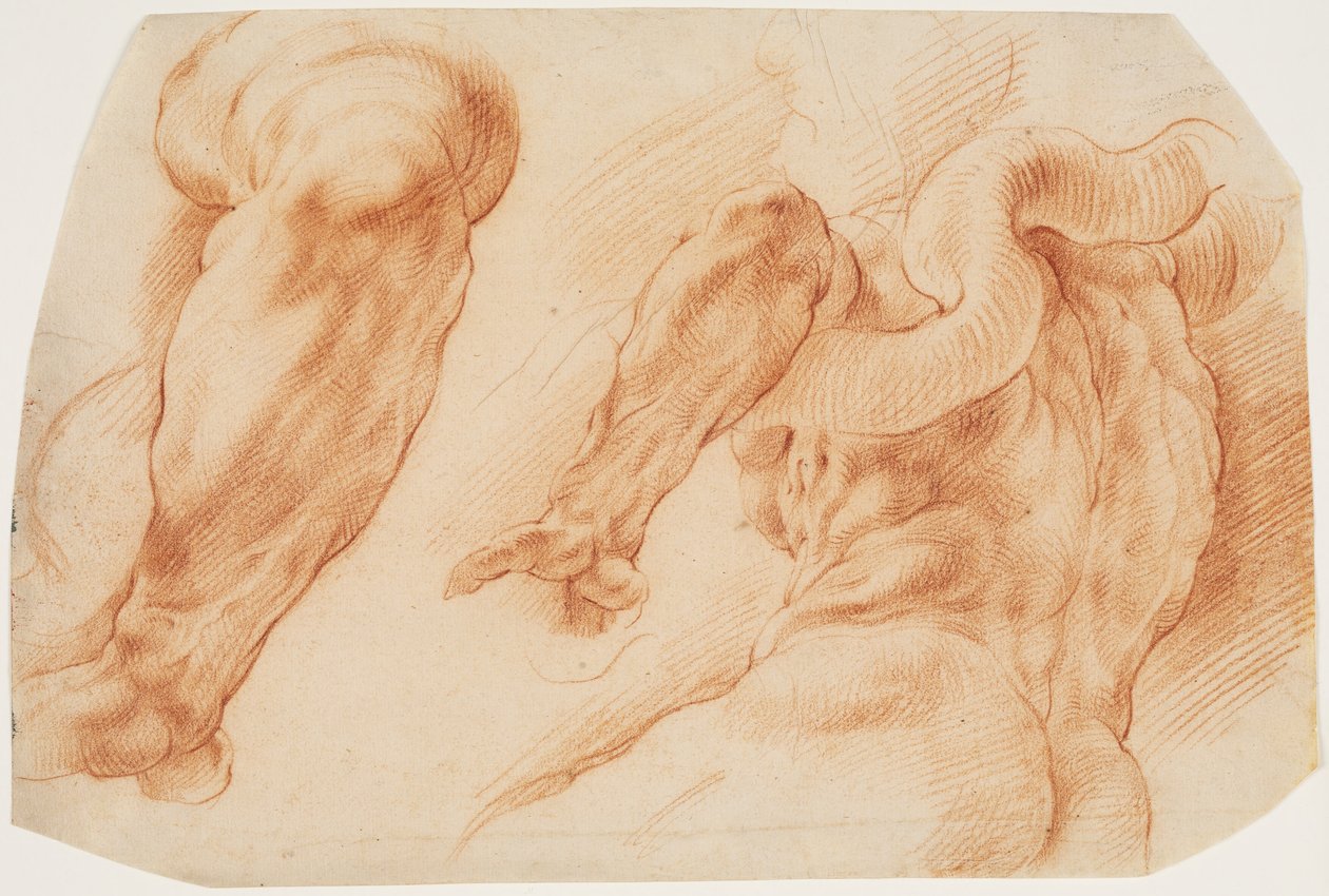 Laocoon. Studies of Laocoon
