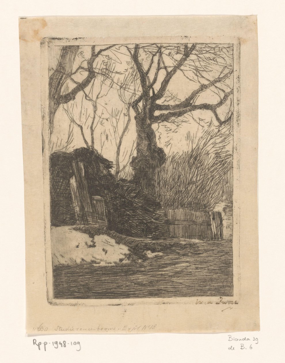 Trees and Bundles of Branches by a Fence by Willem de Zwart (signed by artist)