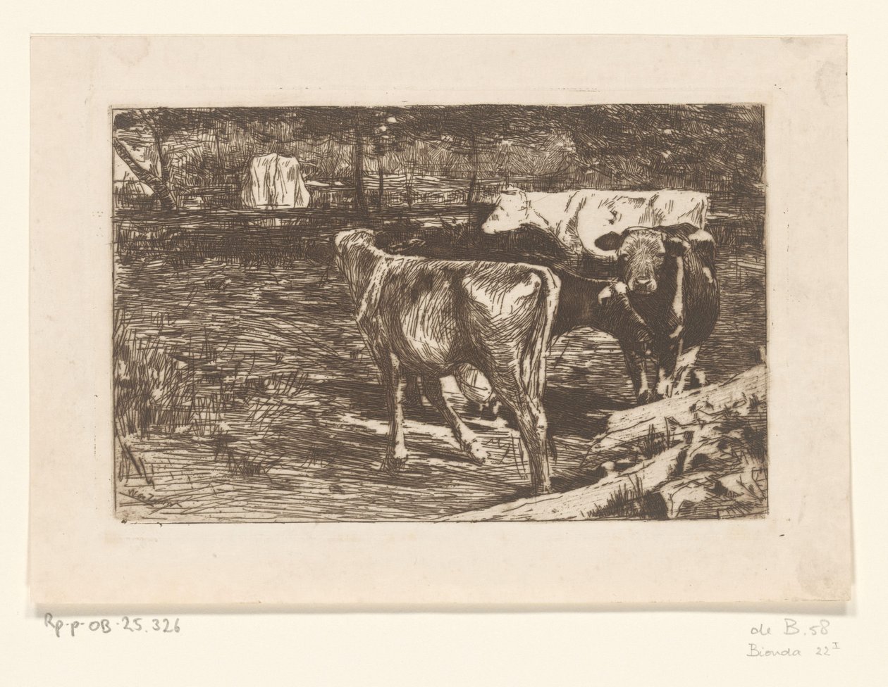 Four Cows in a Meadow by Willem de Zwart