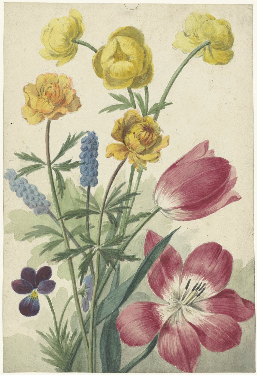 Bouquet of Tulips, Violets, Grape Hyacinths, and Marsh Marigolds by Willem van Leen