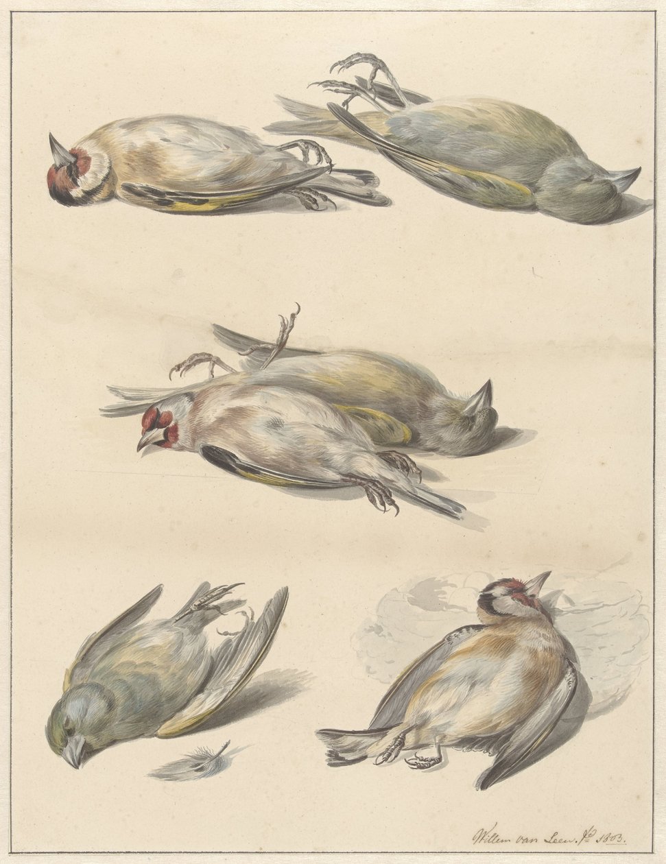 Six Dead Birds by Willem van Leen