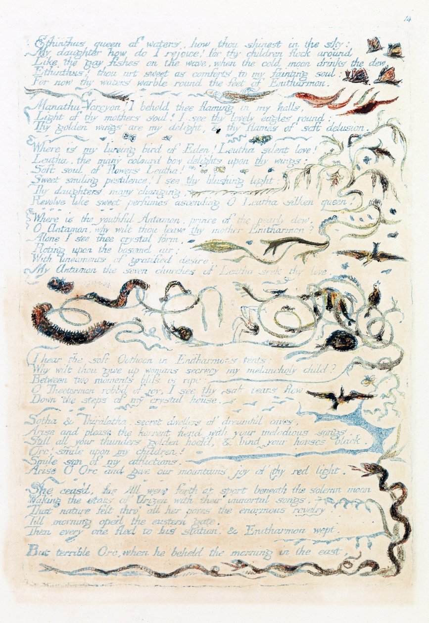 Illustration from 