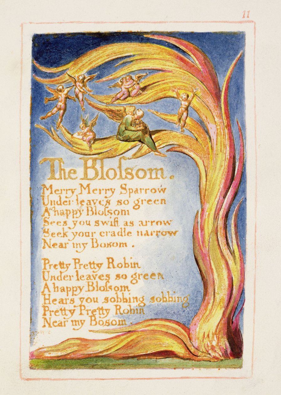 The Blossom: plate 11 from 