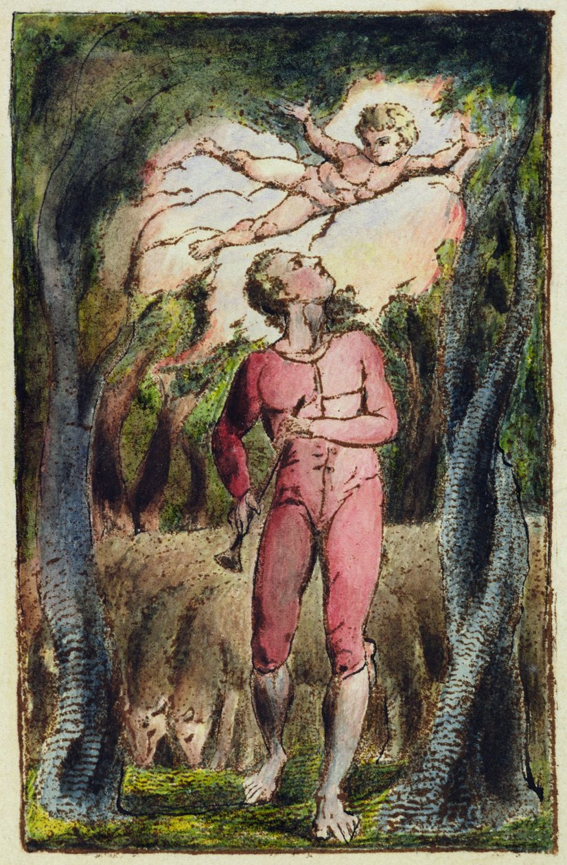 Plate 1 from 
