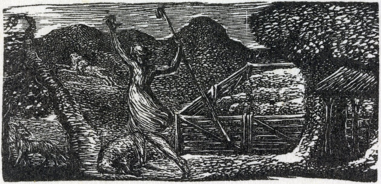 The Good Shepherd chases away the Wolf, illustration from Dr. Thornton