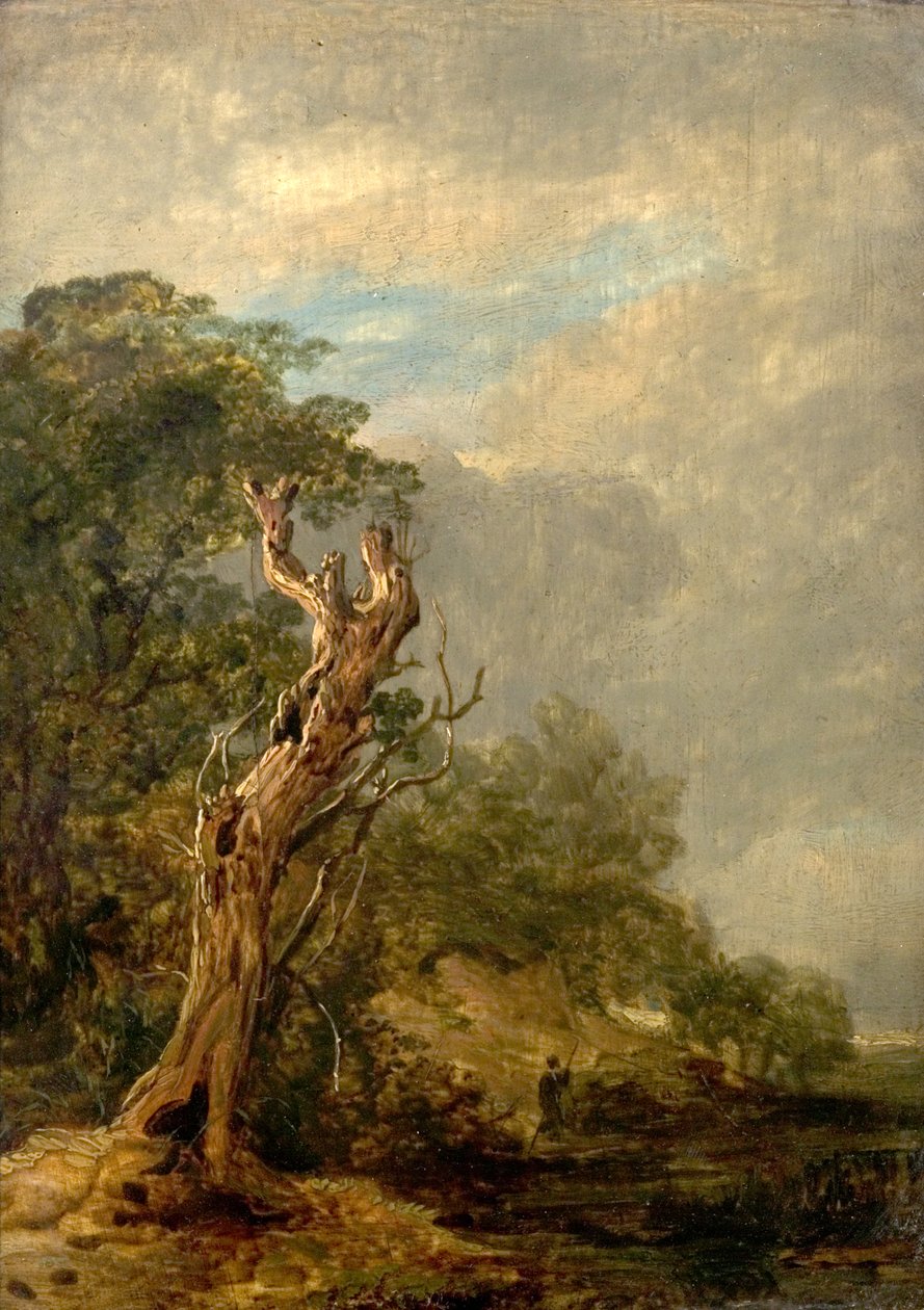The Withered Tree by William Collins