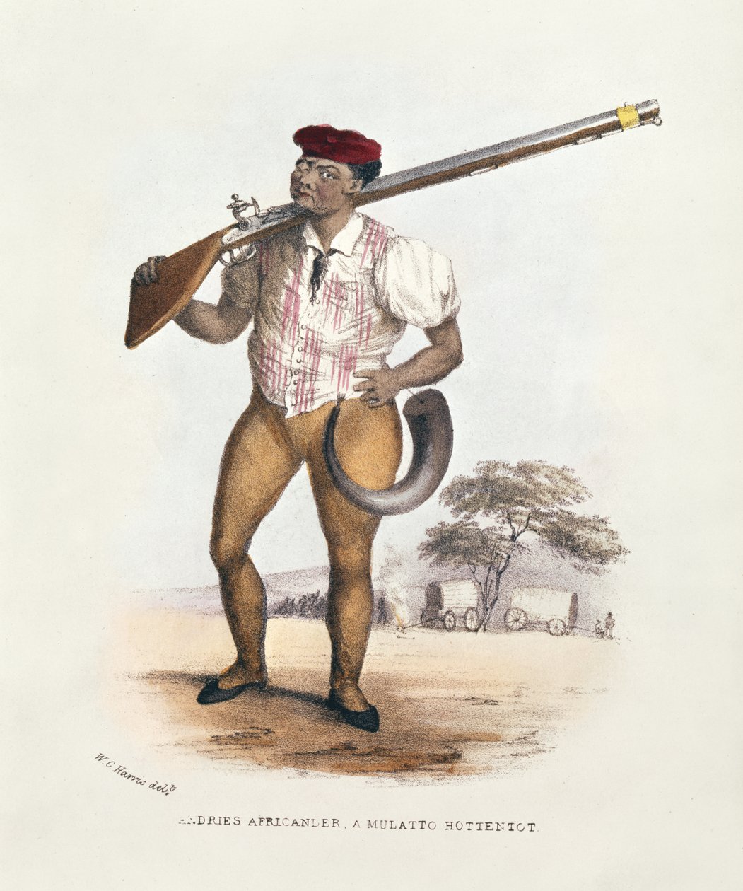 Andries Africander, a Mulatto Hottentot, Illustration from Wild Sports of South Africa by W.C. Harris by William Cornwallis Harris