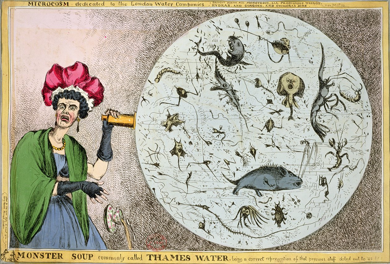 Microcosm dedicated to the London Water Companies: Monster soup ...