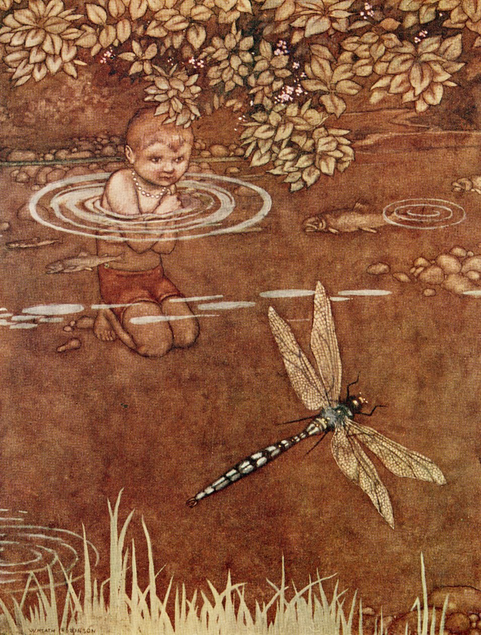 He Was a Little Conceited About His Fine Colours and His Large Wings by William Heath Robinson
