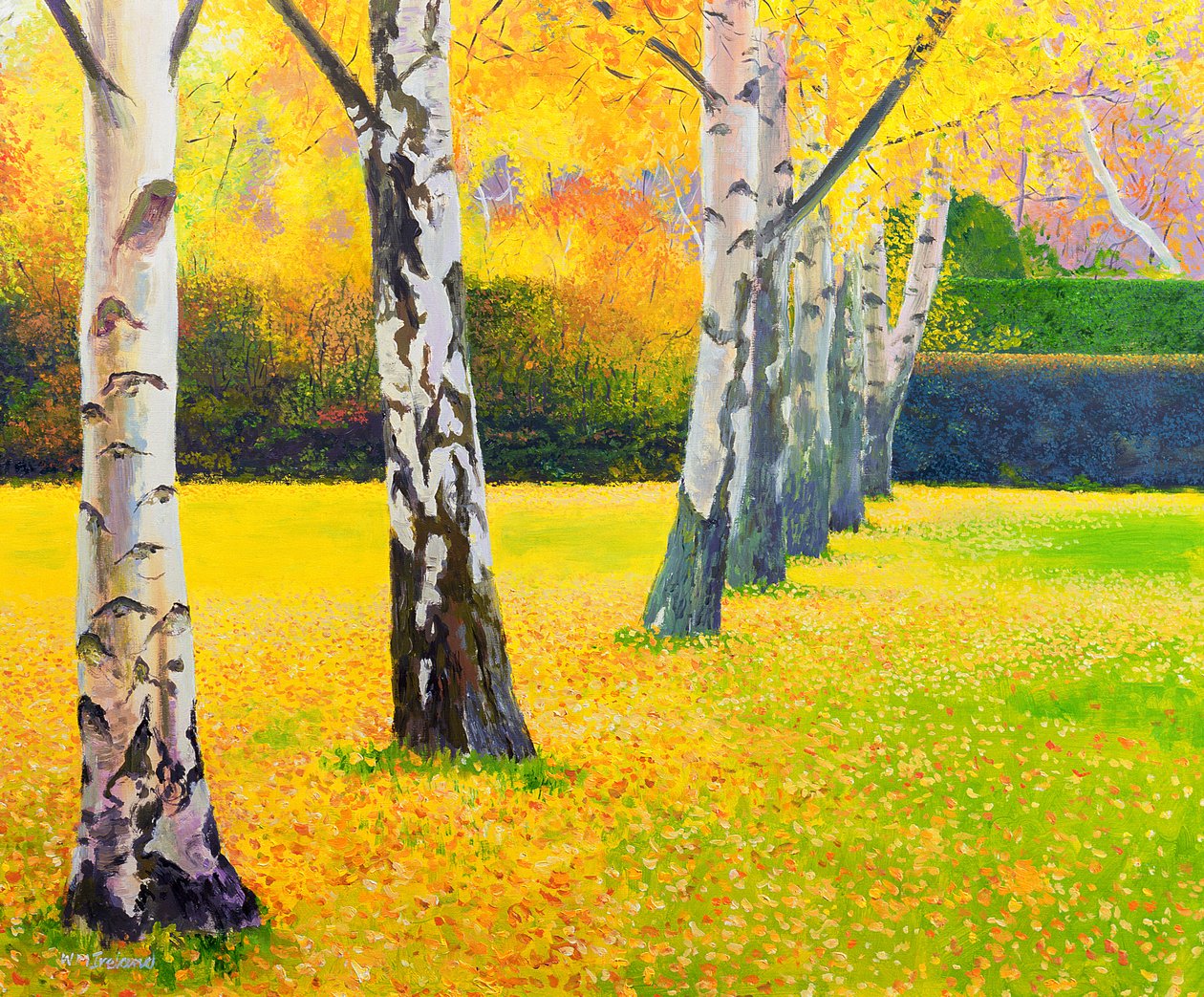 Autumn Gold by William Ireland