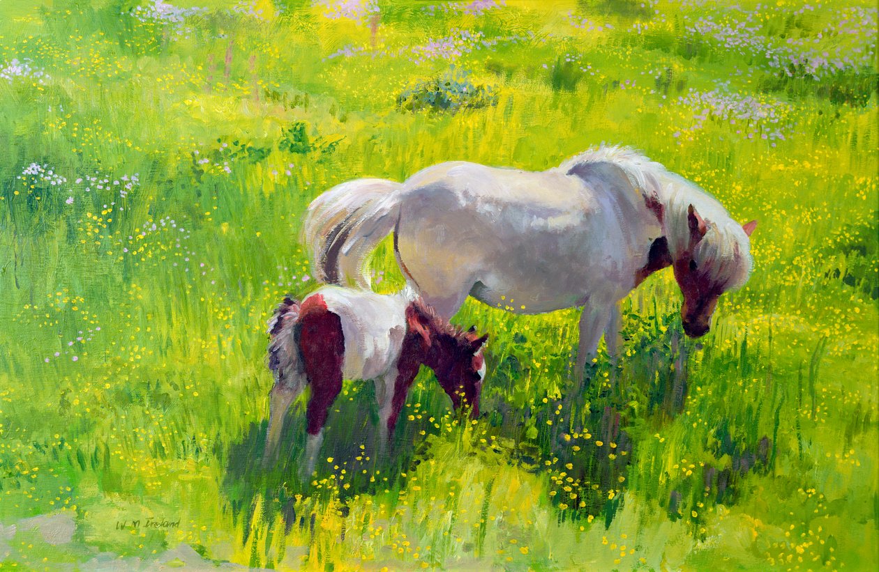 Piebald Horse and Foal by William Ireland